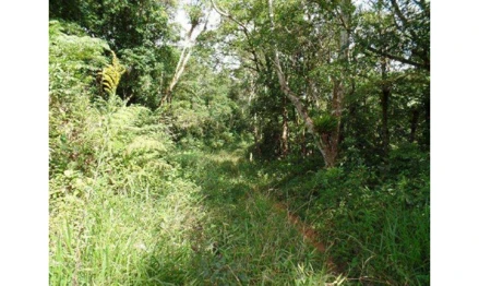 Área rural em Ibiúna, Bairro Do Salto, Bairro do Salto, zona rural, SP. Área: 605000m2