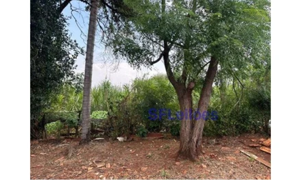 Lote em Palotina, , Lote n° 06, quadra n° 727, do loteamento são Vicente pallotti, PR. Área: 289.97m2