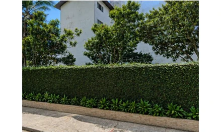 Apartamento em Bertioga, Centerville, Avenida Avenida Doutor Leonardo de Bonna, 110, Centro, Bertioga, SP, SP. Área: 6629.9m2