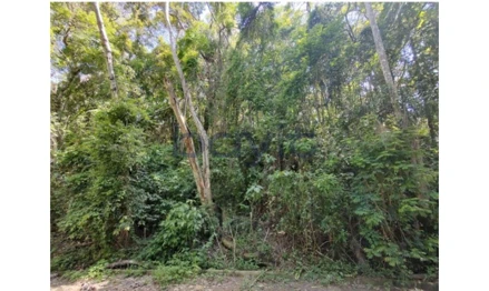 Terreno urbano em Santana de Parnaíba, Portal Da Serra, Rua Monterrei, Portal da Serra, SP. Área: 1043m2