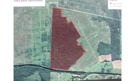 Terreno em Joinville, , Joinville / SC, SC. Área: 55000m2