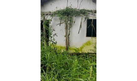 Área rural em Gravatá, Zona Rural, Sítio Elesbão, Zona Rural, Gravatá/PE, CEP 55640-000, PE. Área: 36m2
