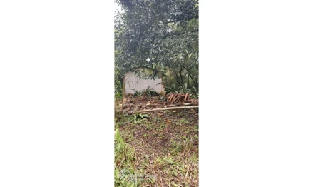 Casa em Gravatá, Zona Rural, Sítio Limeira, Zona Rural, Gravatá/PE, CEP 55640-000, PE. Área: 8.4m2