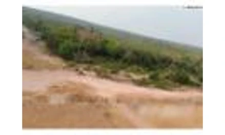 Área rural em Corumbiara, null, Lote rural nº. 45, Gleba nº. 70, Projeto Integrado de Colonização Paulo de Assis Ribeiro, RO. Área: nullm2