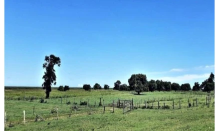 Área rural em Rio das Flores, ZONA RURAL, FAZENDA INDEPENDÊNCIA- RODOVIA RJ 151, RJ. Área: 203.599m2