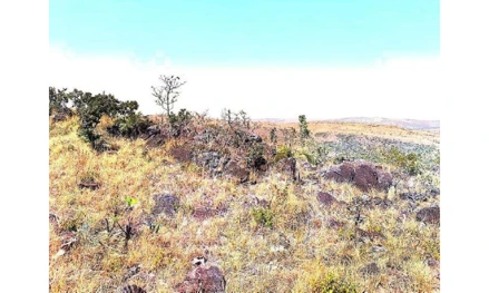 Área rural em Vila Bela da Santíssima Trindade, , MT /Vila Bela da Santíssima Trindade, MT. Área: 6238.9109m2