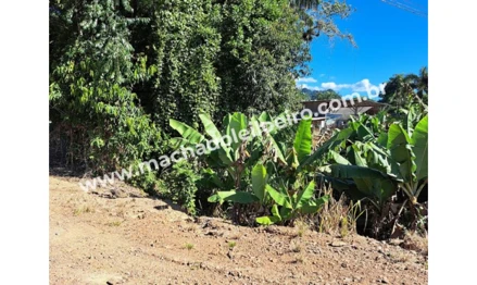 Terreno em Corupá, João Tozini, BR 280, S/N- Próximo posto ISAC, SC. Área: nullm2