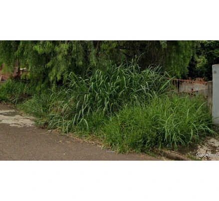Terreno em Londrina, Jardim Paris, rua Novarino Geraldo da Silva n. 166, PR. Área: 250m2 Terreno em Londrina, Jardim Paris, rua Novarino Geraldo da Silva n. 166, PR. Área: 250m2