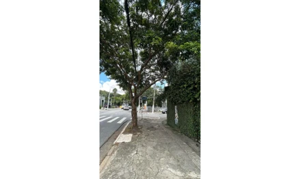Casa em São Paulo, Jardim Paulista, Avenida Brigadeiro Luís Antônio, 3874 - Jardim Paulista - São Paulo - SP, SP. Área: 216m2
