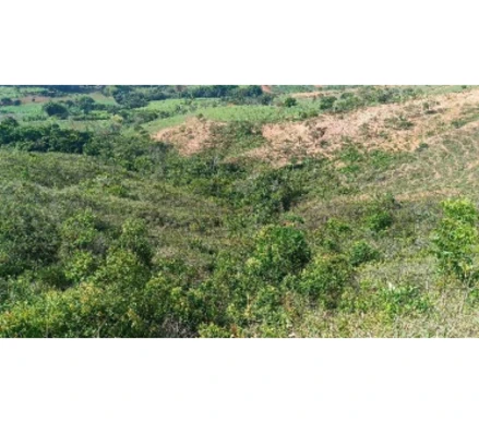 Área rural em Patos de Minas, , FAZENDA MATA BURROS, MG. Área: 68800m2