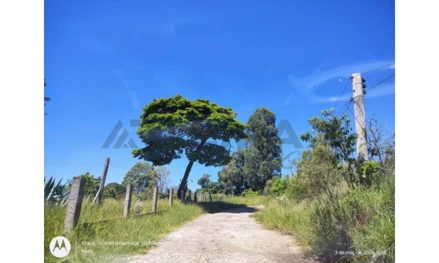 Área rural em Botucatu, , final da Rua Professor Armando Ognibene, SP. Área: nullm2