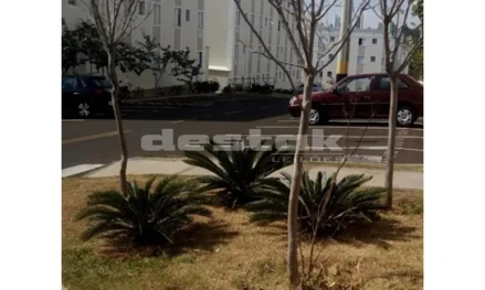 Apartamento em Marília, Jardim California, Avenida Doutor Hércules Galletti, n° 98-A Vila dos Comerciários, Marília - SP, SP. Área: nullm2 Apartamento em Marília, Jardim California, Avenida Doutor Hércules Galletti, n° 98-A Vila dos Comerciários, Marília - SP, SP. Área: nullm2