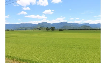 Gleba em Araguari, , FAZENDA FUNDÃO, MG. Área: 40000m2