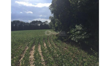 Área rural em Giruá, , Colônia nº 09, RS. Área: 3m2