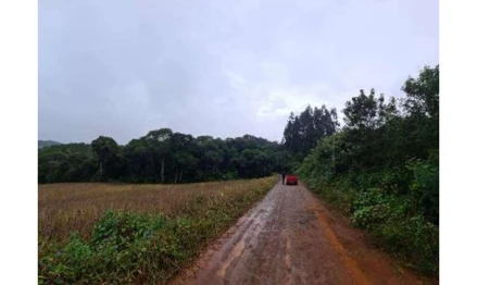 Área rural em David Canabarro, , RS /David Canabarro, RS. Área: 7260m2