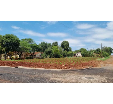 Terreno em Engenheiro Beltrão, Distrito De Ivailândia, Rua Bahia, esquina com a Rua Flamboyant, Distrito de Ivailândia, PR. Área: 1602.17m2