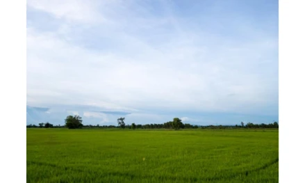 Imóvel rural em Abre Campo, , FAZENDA CORRÉGO CACHOEIRA ALEGRE, ZONA RURAL, MG. Área: 1389.56m2