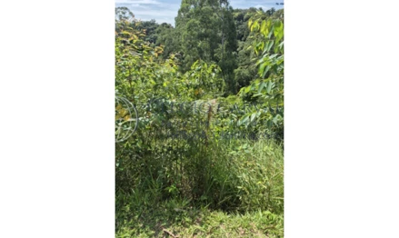 Terreno em Cajamar, Fazenda Velha, RUA CURITIBA, SP. Área: 700m2