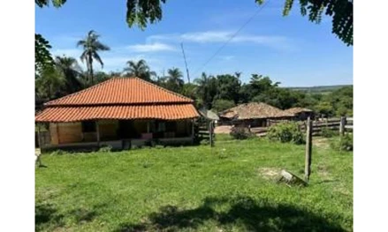 Área rural em Morrinhos, , Morrinhos/GO, distante cerca de aproximadamente 12 quilômetros da sede/centro do município, GO. Área: 355568m2