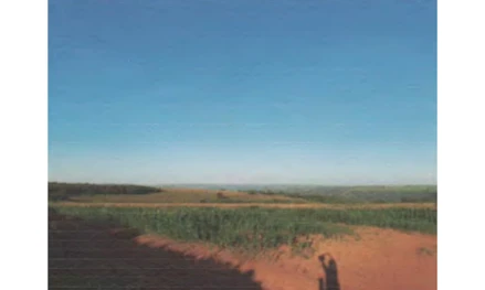 Fazenda em Araguari, , FAZENDA DUAS PONTES- PROXIMO AO DISTRITO DE PIRACAIBA, MG. Área: 32.3081m2