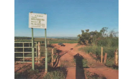 Área rural em Araguari, , FAZENDA DUAS PONTES, PROXIMO AO DISTRITO DE PIRACAIBA, MG. Área: 32.3081m2