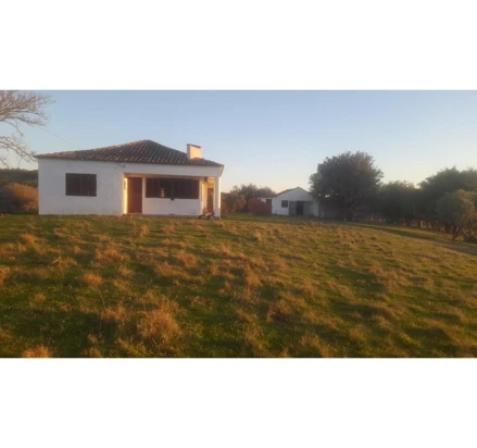 Imóvel rural em Piratini, Quinto Distrito, Passo do Sabugueiro, s/n, Quinto Distrito, RS. Área: 50.9193m2