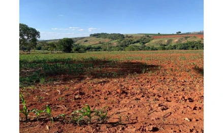 Área rural em Patos de Minas, , BR 354KM 10, LUGAR CAPÃO D’AGUA, ARAGÃO, XAVIER E LAGOA SECA, MG. Área: 98.5816m2