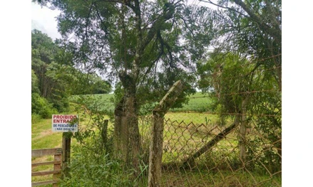 Área rural em Araucária, , FAZENDINHA, PR. Área: 363000m2