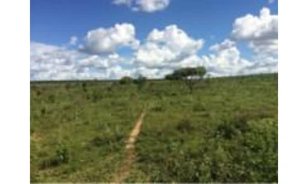 Fazenda em Primavera do Leste, , Fazenda Anna Luiza I, c/ 251,3643há, MT. Área: 251.3643m2