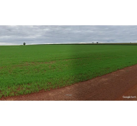 Gleba em Tupãssi, Gleba Lambari, Gleba Lambari, Assis Chateaubriand, PR. Área: 12.1m2 Gleba em Tupãssi, Gleba Lambari, Gleba Lambari, Assis Chateaubriand, PR. Área: 12.1m2