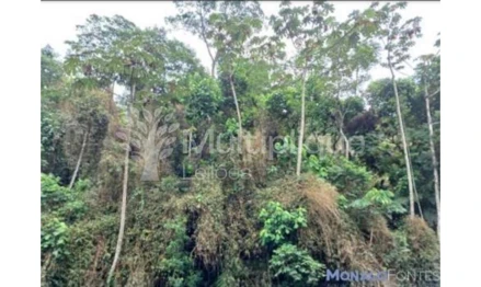 Terreno em Ribeirão Pires, Quarta Divisão, Estr. de Sapopemba, 6369-6163 - Quarta Divisão, Ribeirão Pires - SP, SP. Área: 145000m2