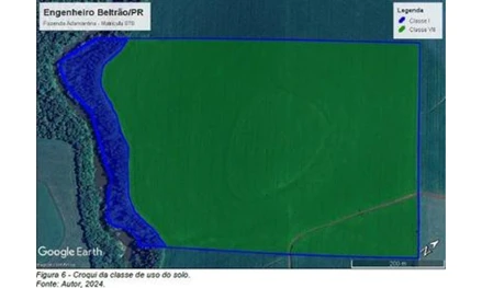 Área rural em Engenheiro Beltrão, , PR /Engenheiro Beltrão, PR. Área: 31.46m2