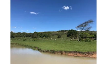 Imóvel rural em Piratini, , estrada do Boqueirão, RS. Área: 390000m2