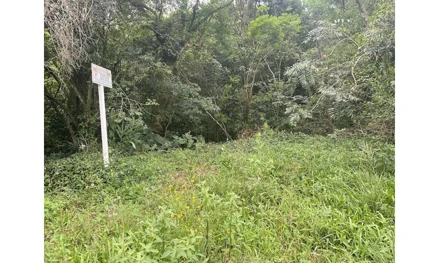 Terreno em Montenegro, Pinheiros, rua 04, Lote 03, Quadra E, Loteamento VILA PINHEIROS, RS. Área: 430m2