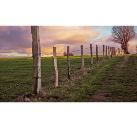 Fazenda em Jussara, , Área Rural, -, Jussara - BA. CEP 44925000, BA. Área: nullm2