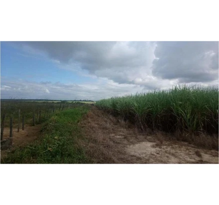 Imóvel rural em Montanha, Zona Rural, Córregos da Floresta Dourado, São Miguel e Santa Cruz, Zona Rural de Pedro Canário/ES, ES. Área: 4107028m2
