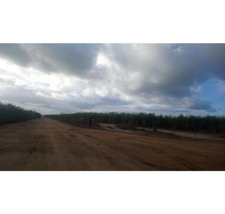 Imóvel rural em Pedro Canário, , Zona Rural de Pedro Canário/ES, ES. Área: 2.6m2 Imóvel rural em Pedro Canário, , Zona Rural de Pedro Canário/ES, ES. Área: 2.6m2