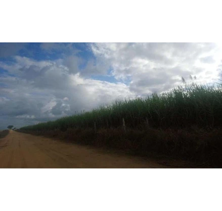 Imóvel rural em Mucuri, , Zona Rural de Mucuri/BA, BA. Área: 892m2
