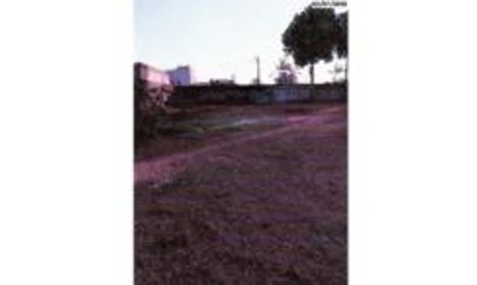 Terreno em Pimenta Bueno, Pioneiros, Avenida Presidente Dutra, RO. Área: 330m2