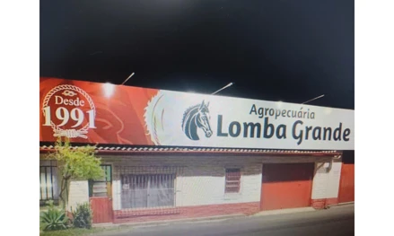 Prédio em Novo Hamburgo, Lomba Grande, RUA ESTRADA AFONSO STRACK, 148, RS. Área: nullm2