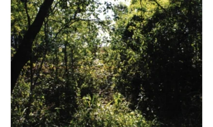 Área rural em Itu, Tapera Grande, Rodovia Itú Sorocaba, Cid Nova I, SP. Área: 3.63m2