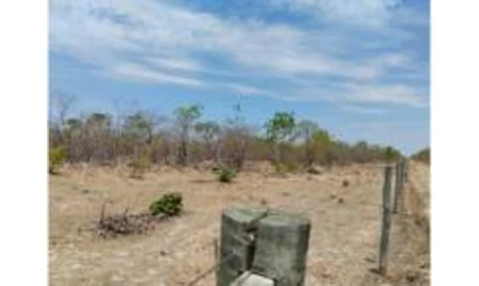 Fazenda em Flores de Goiás, , Fazenda Agaloado, GO. Área: 968m2