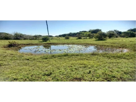 Área rural em São João da Barra, CAJUEIRO, GRANJA DA FRATERNIDADE, RUA PEDRO PAES (ANTIGA ESTRADA DO GALINHEIRO), CAJUEIRO, SÃO JOÃO DA BARRA/RJ, RJ. Área: 83600m2