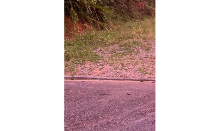 Área rural em Joinville, São Marcos, Rua Leonardo Vital da Cunha, SC. Área: 4587.57m2