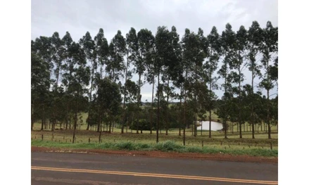 Fazenda em Bandeirantes, , Fazenda Vitoria, PR. Área: 6979.01m2 Fazenda em Bandeirantes, , Fazenda Vitoria, PR. Área: 6979.01m2