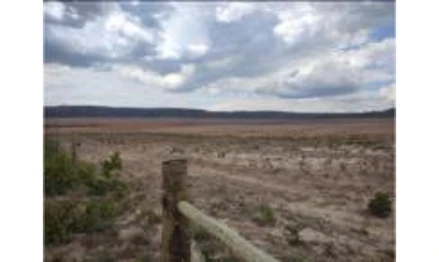 Fazenda em Dianópolis, , Loteamento Duas Pontes, TO. Área: 250.9648m2