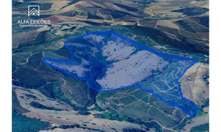 Fazenda em Belo Horizonte, Funcionários, Rua Rio Grande do Norte, 1436, MG. Área: 680000m2