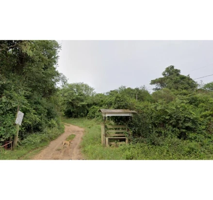 Gleba de terras rurais em Cachoeira do Sul, , Ferreira S/N, -, Cachoeira Do Sul - RS. CEP 96521000, RS. Área: 27m2