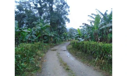 Gleba em Garuva, Quiriri, Quiriri, SC. Área: 312462.62m2