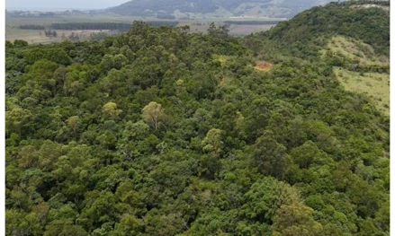 Área rural em Capivari de Baixo, Caçador, SC /Capivari de Baixo /Caçador, SC. Área: 193533m2